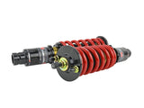 Skunk2 Pro-ST Coilovers EG/EK/DC/EF (Front 10 kg/mm - Rear 10 kg/mm)