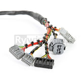 Rywire Honda B/D-Series Mil-Spec Eng Harness w/OBD1 Dist/Inj/Alternator & 92-95 Plugs (Adapter Req)